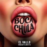 Boca Chula - Single - El Vallo & Livan Producer