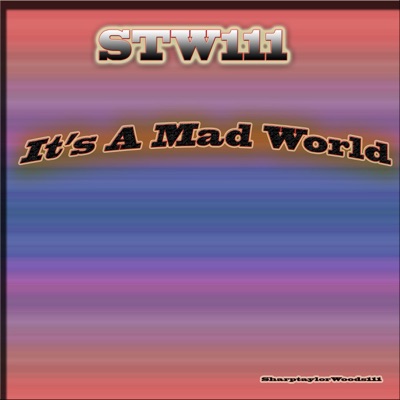 It's a Mad World - Single