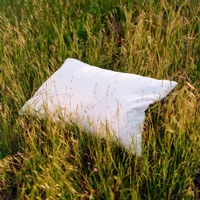 Dream You Better - Single - Lyrah