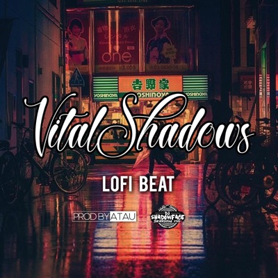 LOFI BEAT (feat. VITALSHADOWSBEATS & DJ SHADOWFACE) - Single