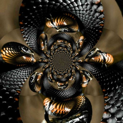 Black Mamba - Single