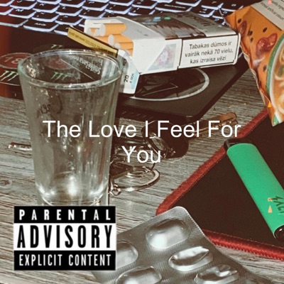 The Love I Feel For You - Single