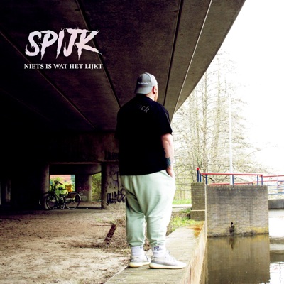 Niets Is Wat Het Lijkt. - Single