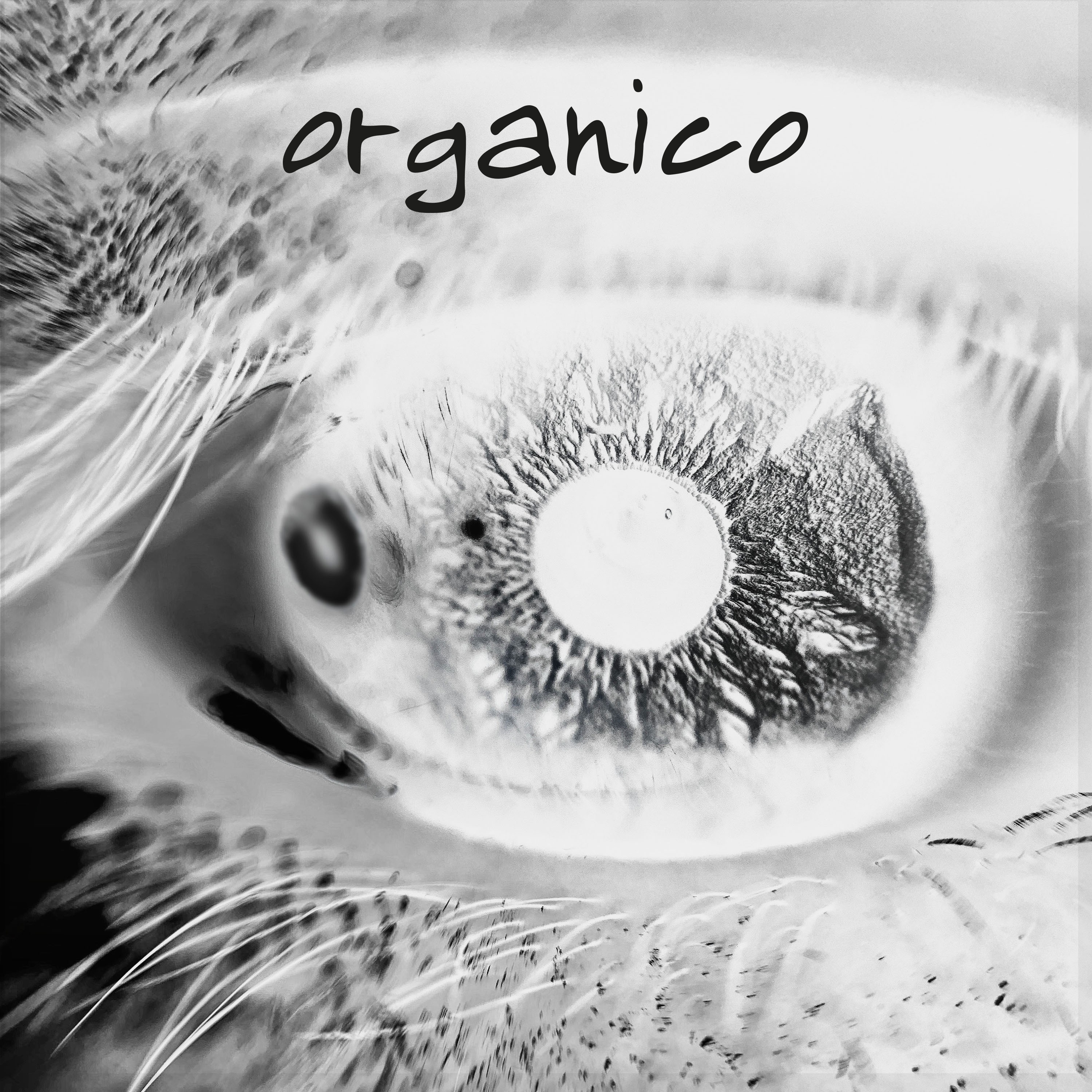 Orgânico