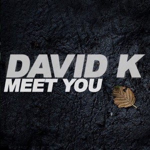 Meet You (Remixes) - Single