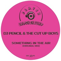 Something in the Air - Single - DJ Pencil & The Cut Up Boys