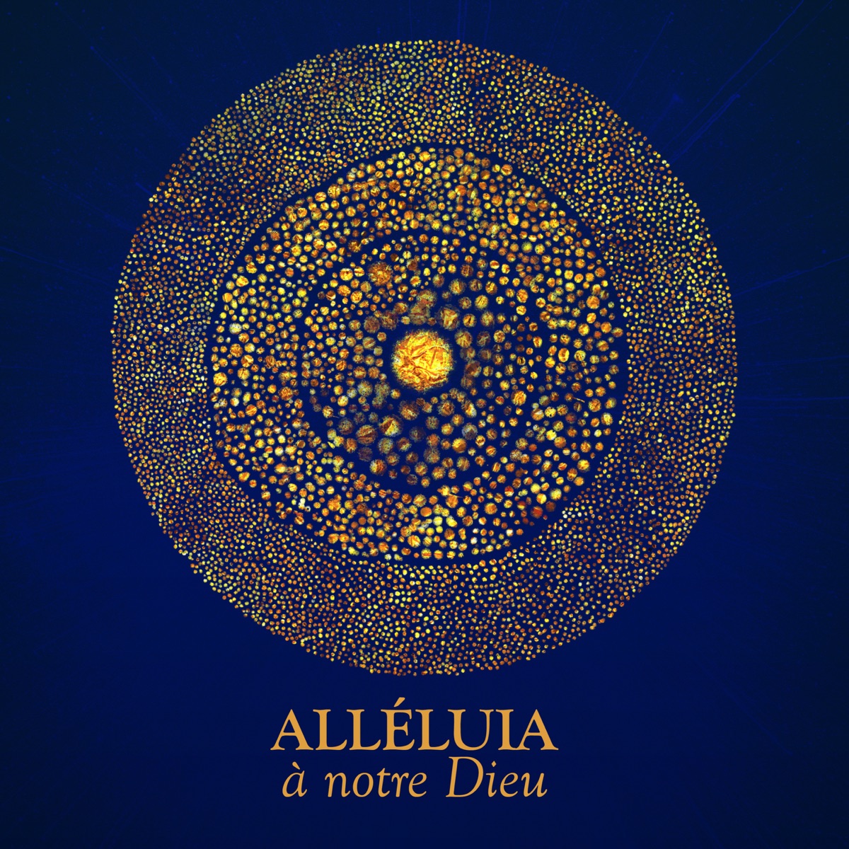 Alléluia, à notre Dieu (feat. Sebastien Corn, Pauline Betuel, Samuel  Olivier & La Bénédiction) - Single - Album by Dan Luiten, Glorious & Dena  Mwana - Apple Music