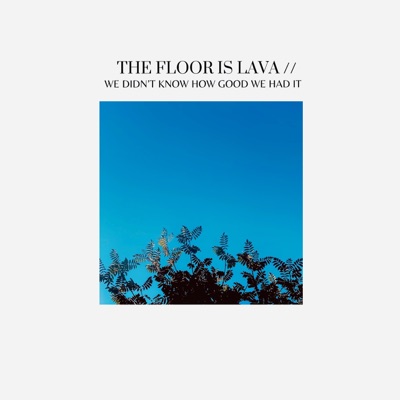 We Didn't Know How Good We Had It - Single