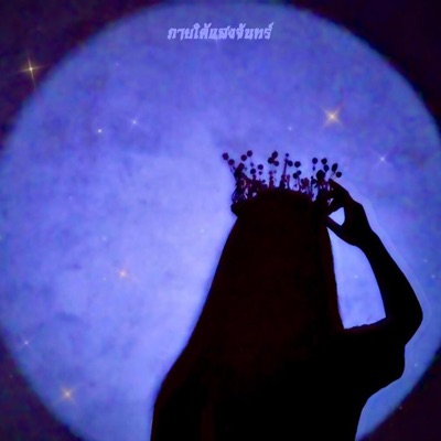 ภายใต้แสงจันทร์ (Sped Up) (feat. TMIX, DGXTANK & PLENG) - Single