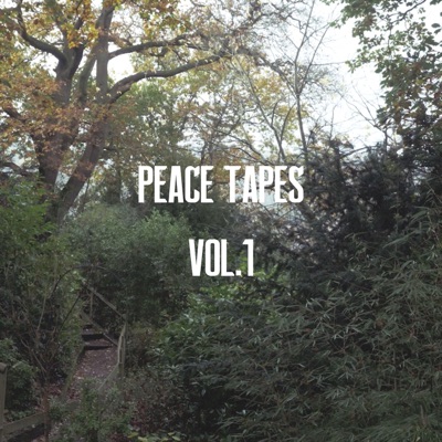 Vol.1 (feat. Sylva Faye)