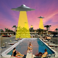 Poolside - Single - MiDN8