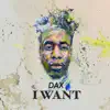 Stream & download I Want