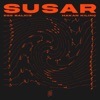 Susar - Single