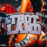 Thot Land - Single - Tdot Pringle, DUCE8VON, Linwood Benjamin & Baby Hulk