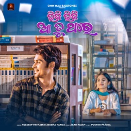 Bheeji Bheeji Aa Tu Thare Kuldeep Patnaik & Aseema Panda