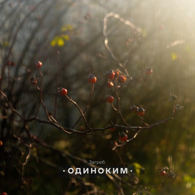 Одиноким - EP