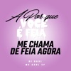 A Porque Voce É Feia, Me Chama De Feia Agora - Single