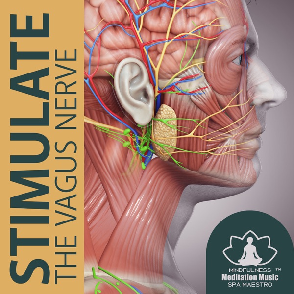 Stimulate the Vagus Nerve