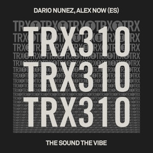 The Sound the Vibe - Single
