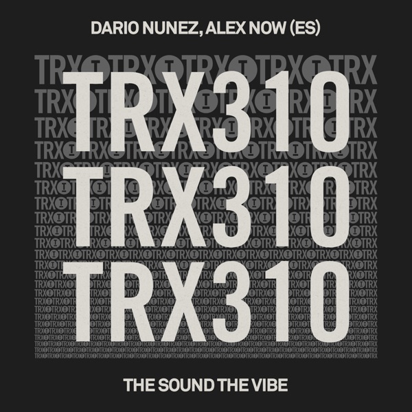 The Sound the Vibe - Single