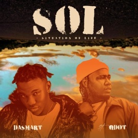 S.O.L (Remix) [Situation Of Life] (feat. Qdot) Dasmart