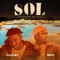S.O.L (Remix) [Situation Of Life] (feat. Qdot) - Dasmart lyrics