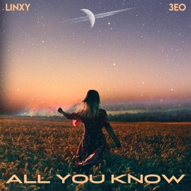 All You Know 3eo & LINXY