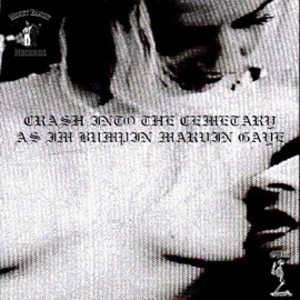 Crashintothecemetaryasimbumpinmarvingaye B3NELLI