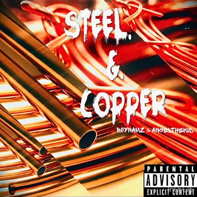 Steel & Copper (feat. Angelthekid) - Single