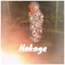Hokage - Akatski lyrics