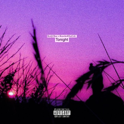 Tonight (feat. KnockedOutColt) - Single