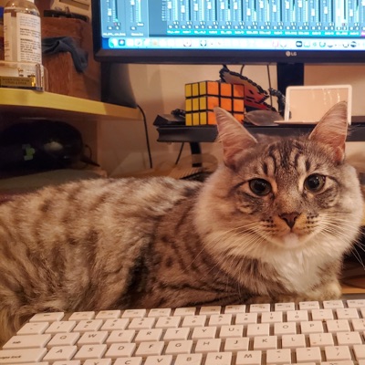 Work Space - Single