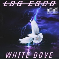 White Dove - Single - LSG ESCO