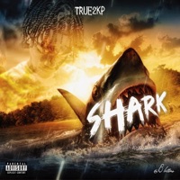 Shark - Single - True2KP