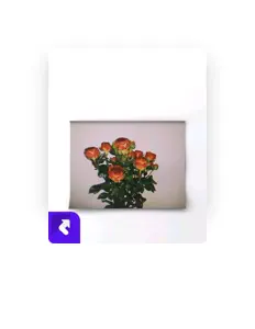 聆聽 餘佳俊、觀看音樂影片、閱讀小傳、查看巡演日期等！