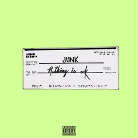 Nothin Is OK Junk