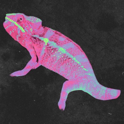 Chameleon (feat. Nur-D) - Single