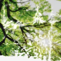 .Lookin Glass. - Single - Bucqqi