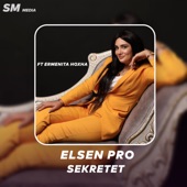 Sekretet (feat. Ermenita Hoxha) artwork