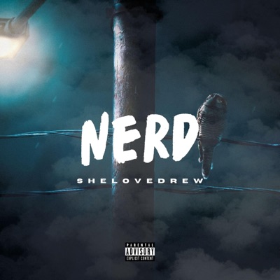 NERD (feat. lil khami & $kywxlker) - Single