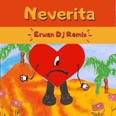 Neverita artwork