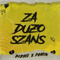 ZA DUŻO SZANS (feat. Domin & bdawgie xvii) - Single - Bizme