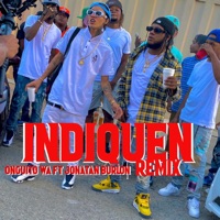 Indiquen (Remix) - Single - Jonatan Burlon