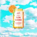 Slice of Sunshine
