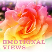 Emotional Views - Moritz Bintig & Ramona Dives