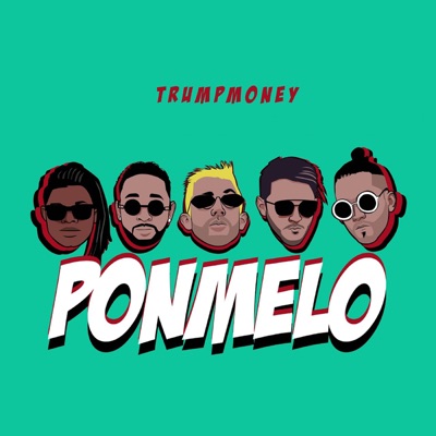 Ponmelo (feat. Sanwo) - Single