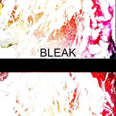 Bleak - Single