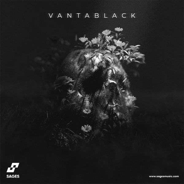 Vantablack