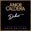 Can't Fight This Feeling (feat. Sophie Ellis-Bextor) - Junior Caldera