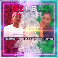 Delela (feat. Mizzer ZA, KayTwooDJ & Lady Lee) - Single - Tiga Maine